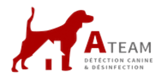 ATeam Desinfection